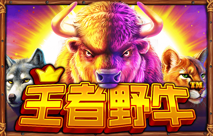 b体育官方体育app登录
